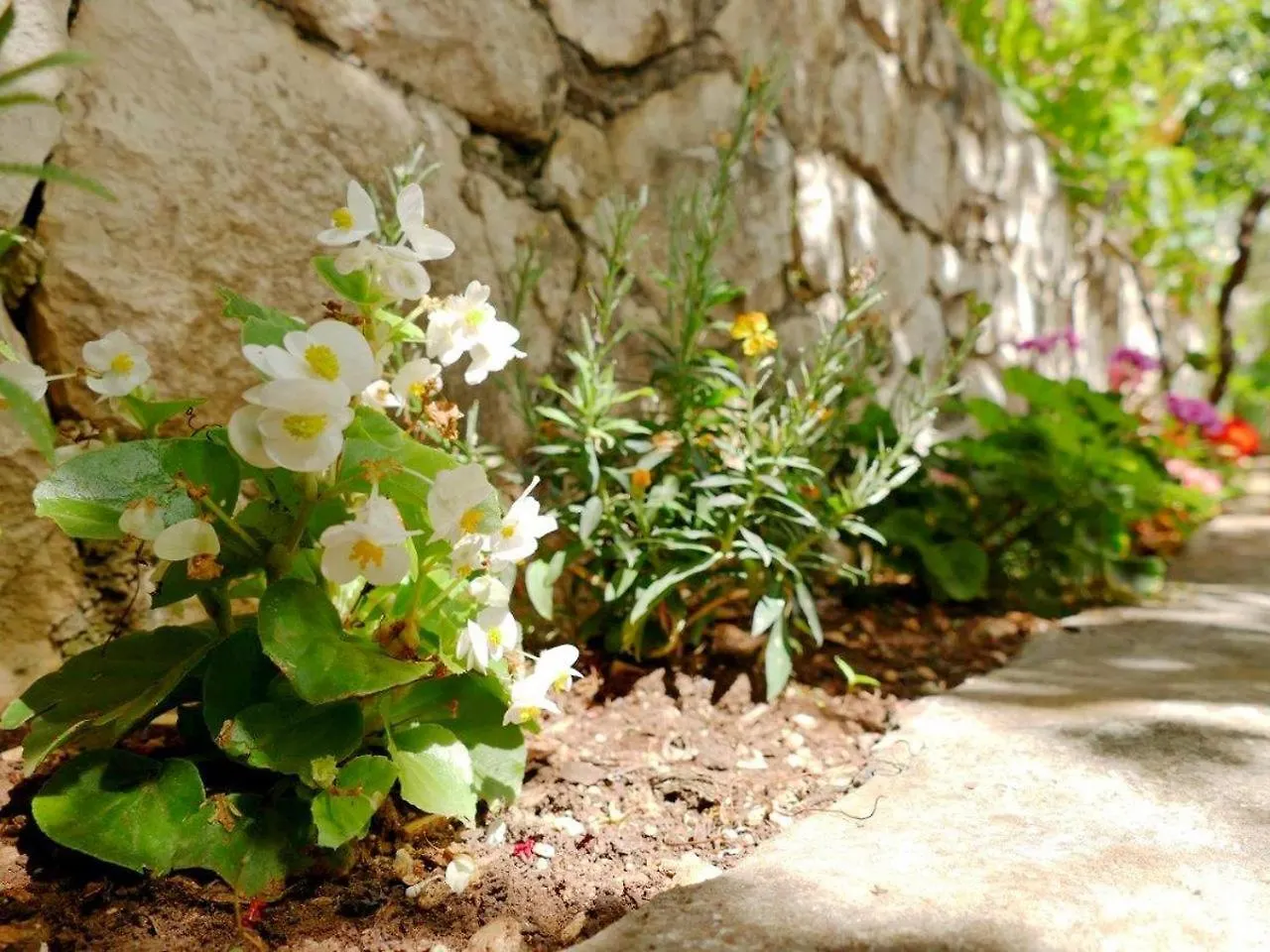 Apartment Milena Near The Beach Trogir